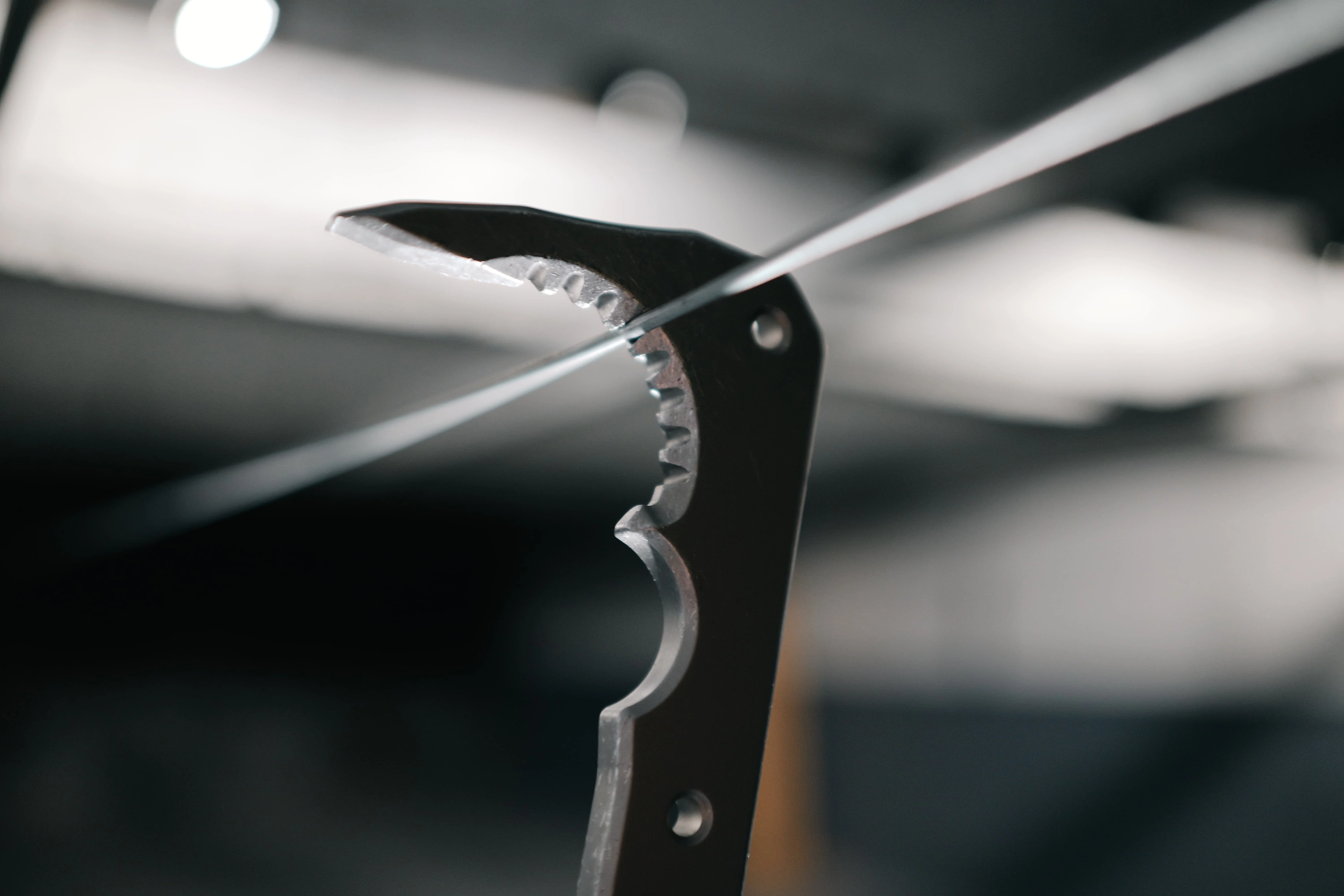 GlassRipper Profil